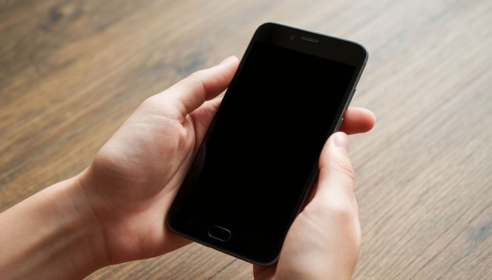 Минтранс ДНР запустил оперативный чат-бот