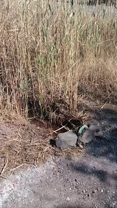 Народный Совет против водной блокады
