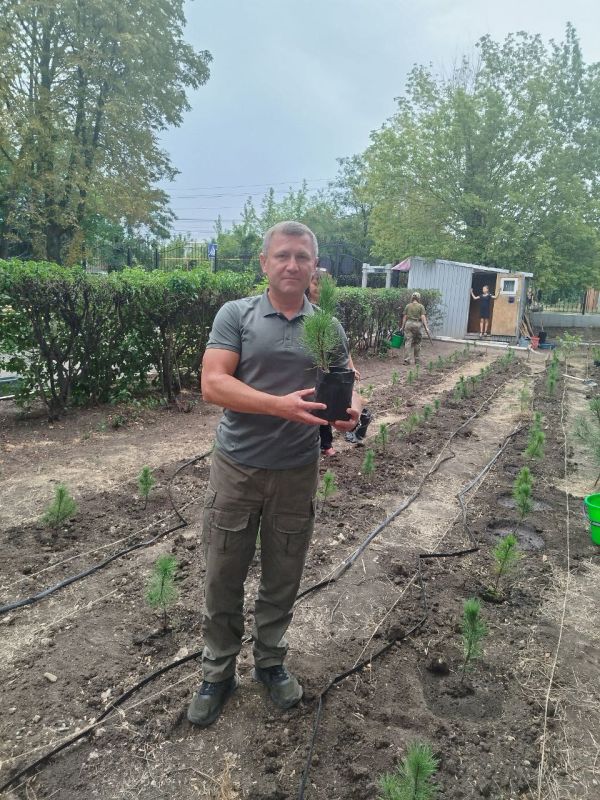 При поддержке общественного деятеля Республики Майи Пироговой и депутата Народного Совета ДНР Елены Шишкиной на территории школы N 4 - Кадетский корпус им. А.В. Захарченко были высажены 100 сеянцев кедра сибирского...