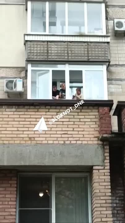 Выпал из форточки: в Донецке спасли хаски, приземлившегося на козырек крыши