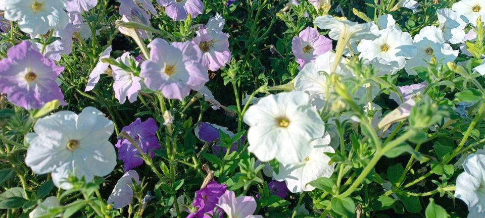 Доброе утро, Амвросиевский муниципальный округ!