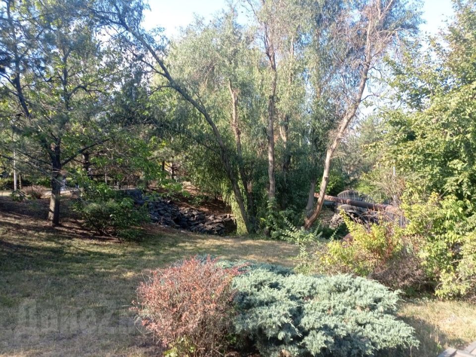 От оазиса остались только воспоминания: сквер у "Конти" в Донецке засох и выцвел