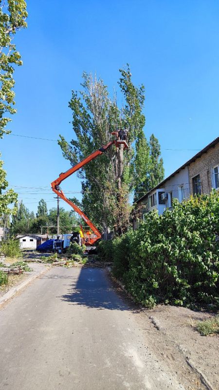 По поручению Главы Донецкой Народной Республики Дениса Пушилина в Старобешевском округе продолжаются работы по спилу и кронированию аварийных деревьев