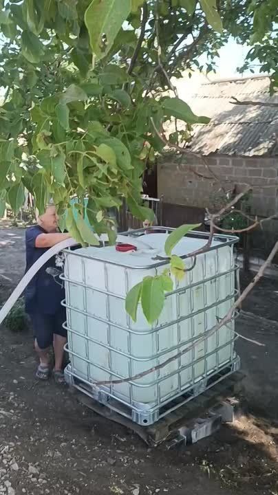 Таймураз Арсоев: В рамках исполнения поручения Главы Донецкой Народной Республики Дениса Пушилина (