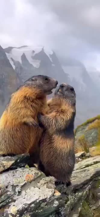 Доброе утро, Мариуполь!. Пусть этот день начнётся с хорошего настроения, доброй улыбки, вкусного завтрака и исполнения желаний