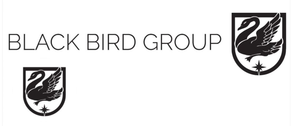 Александр Зимовский: Группа наблюдения за Восточным фронтом "Черная птица" представила свой анализ ситуации