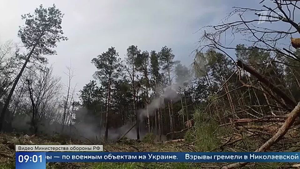 В поселке Зеленый Гай Харьковской области водрузили российский флаг: ранее населенный пункт с таким же названием освободили в ДНР