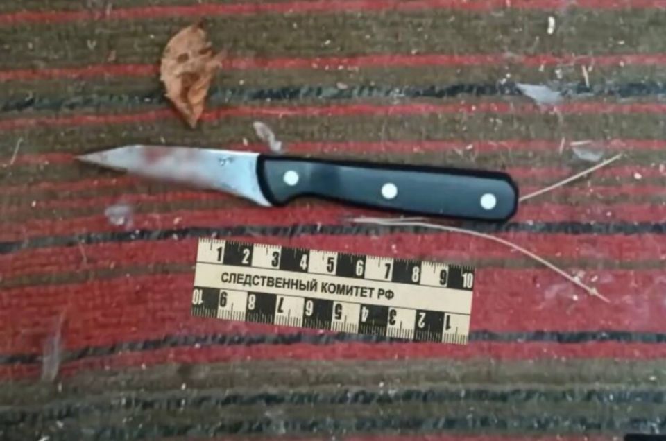 20 ножевых. В Мариуполе задержали мужчину, подозреваемого в убийстве матери