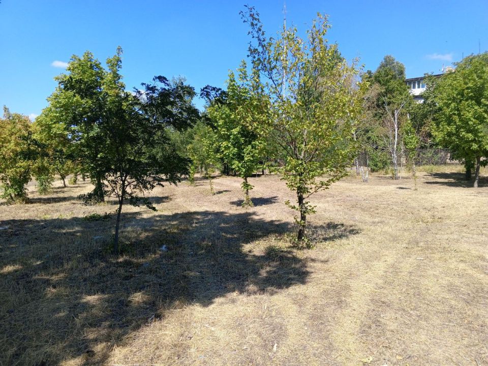 В Старобешевском округе идут работы по покосу сорных и карантинных трав