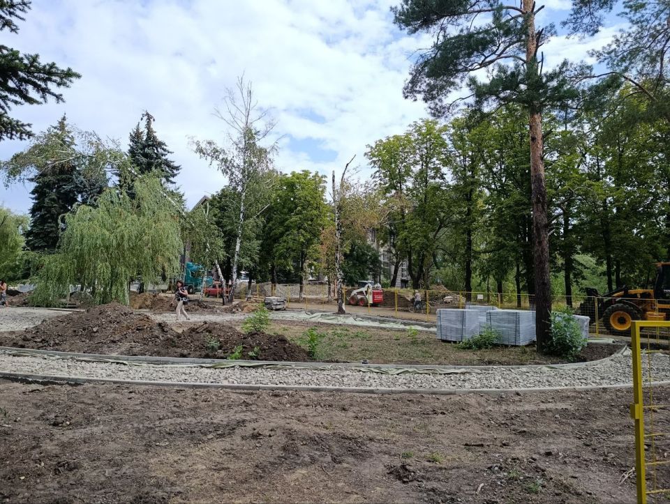 Мониторинг хода работ по благоустройству