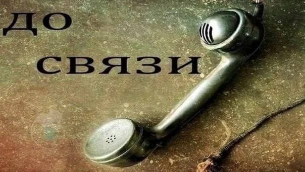 Бульканье, шипение и помехи – именно так будет проявляться частичная блокировка звонков в Telegram и WhatsApp