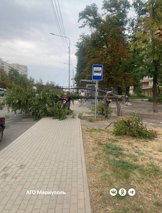 Рабочие зеленого строительства устранили аварийную ситуацию в Жовтневом районе