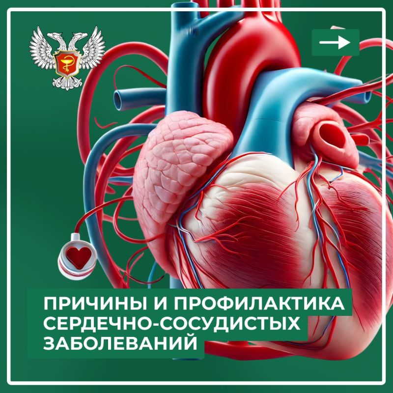 В рамках Федерального проекта «Борьба с сердечно-сосудистыми заболеваниями» Национального проекта «Продолжительная и активная жизнь» мы подготовили информационные карточки