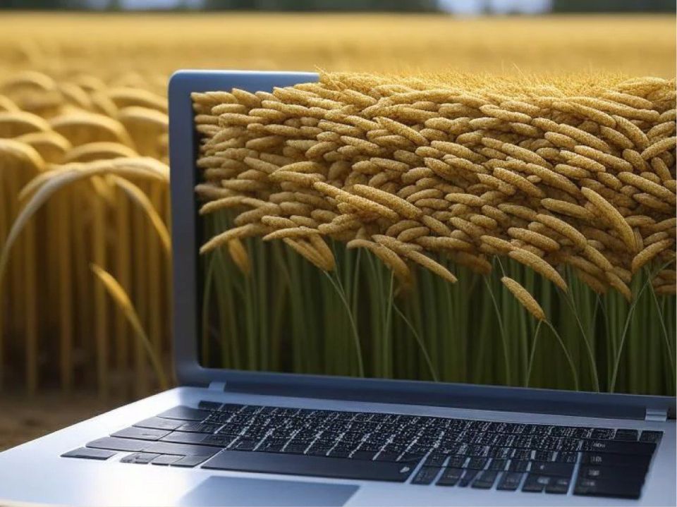 Регистрация нового урожая во ФГИС «Зерно» — это процесс внесения сведений о собранном урожае в Федеральную государственную информационную систему прослеживаемости зерна и продуктов его переработки