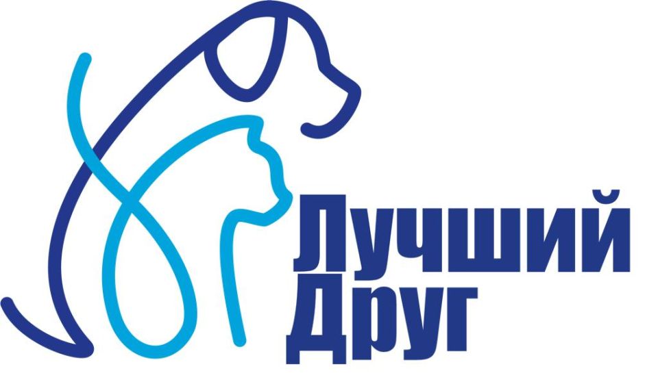 «Единая Россия» запустила акцию «Лучший друг», направленную на поддержку наших верных четвероногих друзей