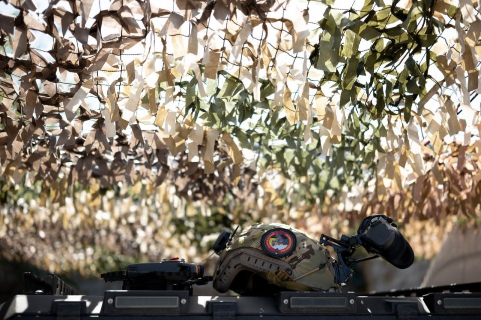 Береги честь и голову смолоду