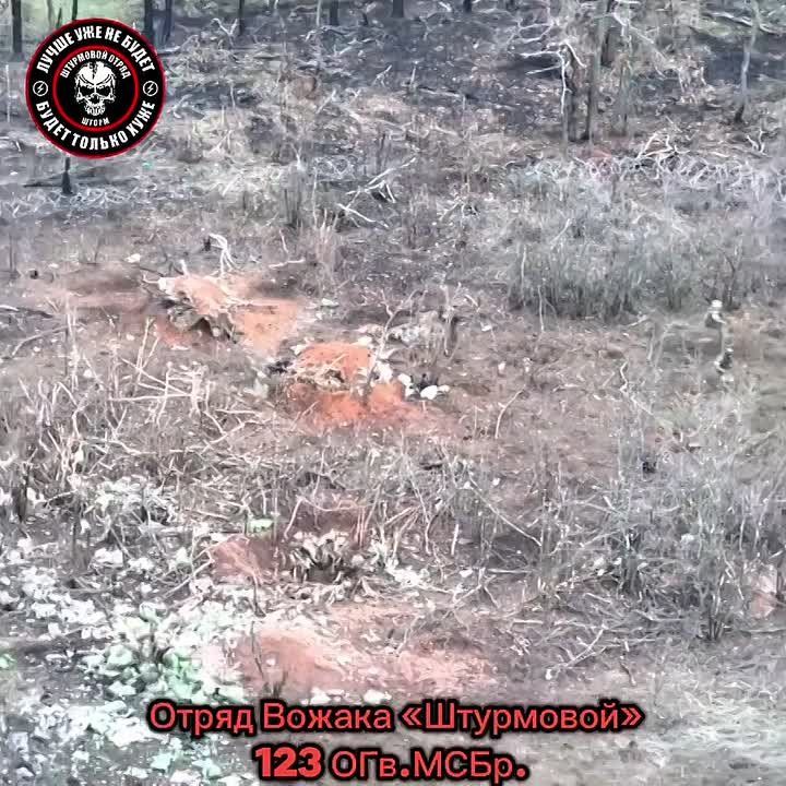 Выкуривание ВСУшников из их лисьей норы