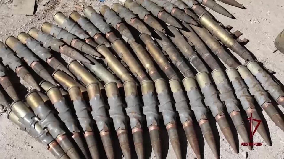 Росгвардия нашла тайник ВСУ с сотнями мин и артснарядов в ДНР