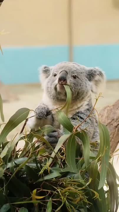 Доброе утро, Мариуполь!. Просыпаемся, улыбаемся, встречаем новый день! Пусть он будет мирным, спокойным и счастливым для всех, пусть несет с собой радость и удачу