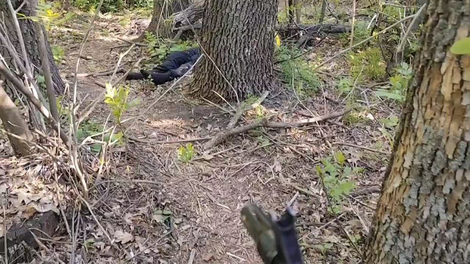 Сумеречный Главпочтамт. Снова безыменная бандероль от коллег по тёмному поиску из-под Красного Лимана