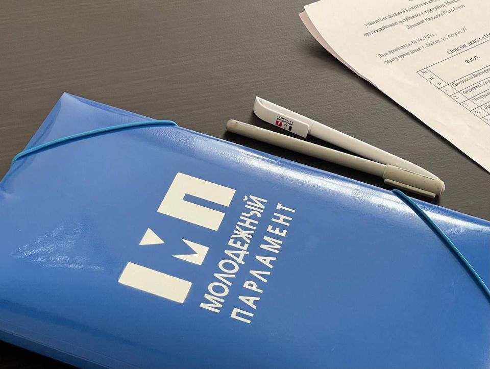 Были проведены заседания всех 6 комитетов Молодежного Парламента ДНР IV созыва!