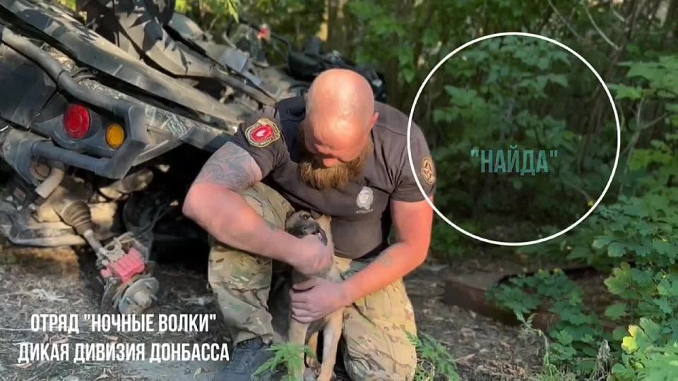 Питомцы с позывными: как сторонники Единой России заботятся о своих питомцах на передовой