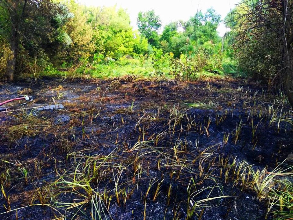 Макеевские огнеборцы защитили жилые дома от стихии