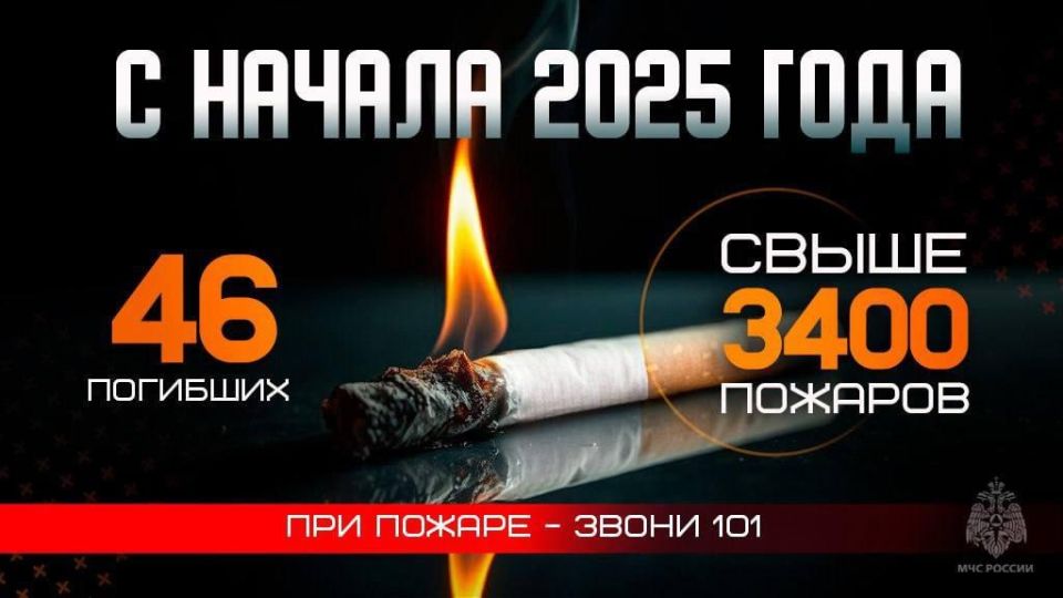 Игорь Лызов: ПЕПЕЛЬНИЦА ИЛИ ПЕПЕЛИЩЕ?. Пожары, возникающие по причине неосторожности при курении, — это трагическая реальность, уносящая жизни и разрушающая судьбы