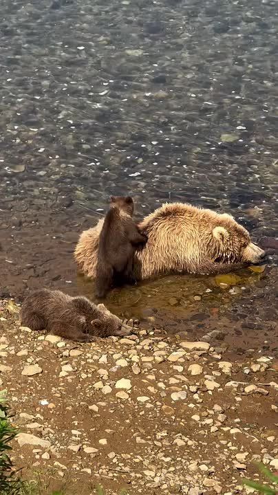 Спокойной ночи, Мариуполь!