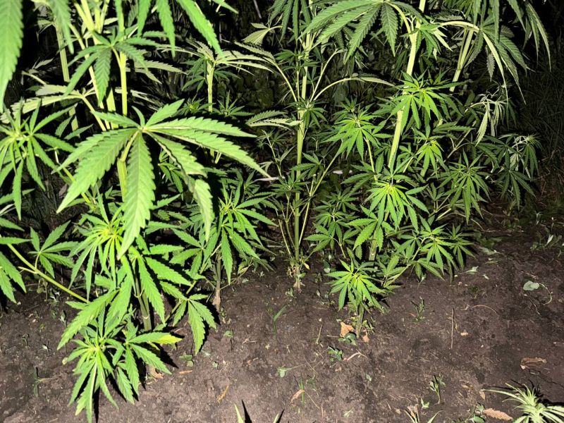 Сотрудники полиции задержали мужчину за хранение наркотиков