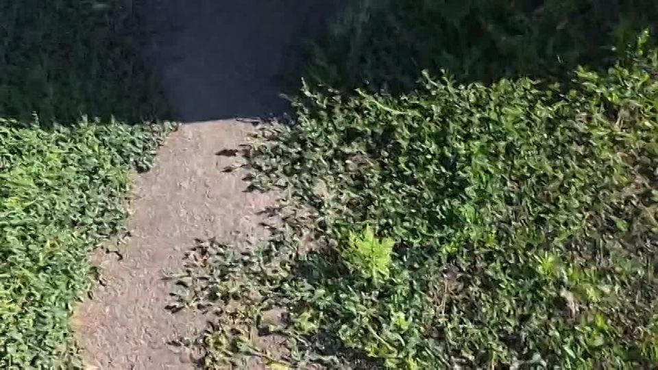 Тут на днях к нам приезжала Анна Долгарева- поэтесса и просто человек с большим сердцем