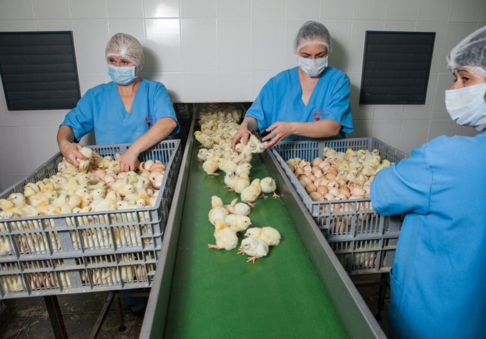 Трудоустройство в 17 – реально