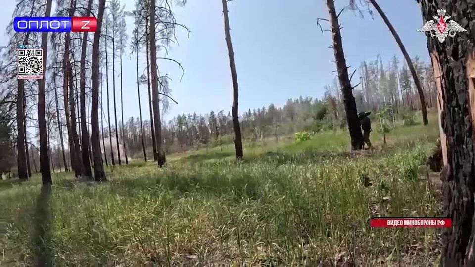 Успехи наших бойцов в зоне СВО