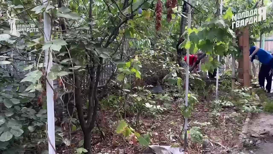 ��������� �������� ������� � ���������� ����� ������� ������ � ������ ���������� ���� ������� ���������� ��������� ���� ���������