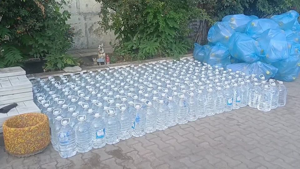 Более 260 пятилитровок с водой в донецкий приют для животных передали москвичи