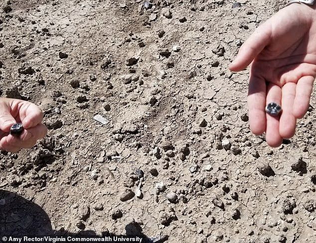 Австралопитеки и древнейшие представители рода Homo были "соседями" в период между 2,6 и 2,8 млн лет назад в Африке, пишет британская газета Daily Mail