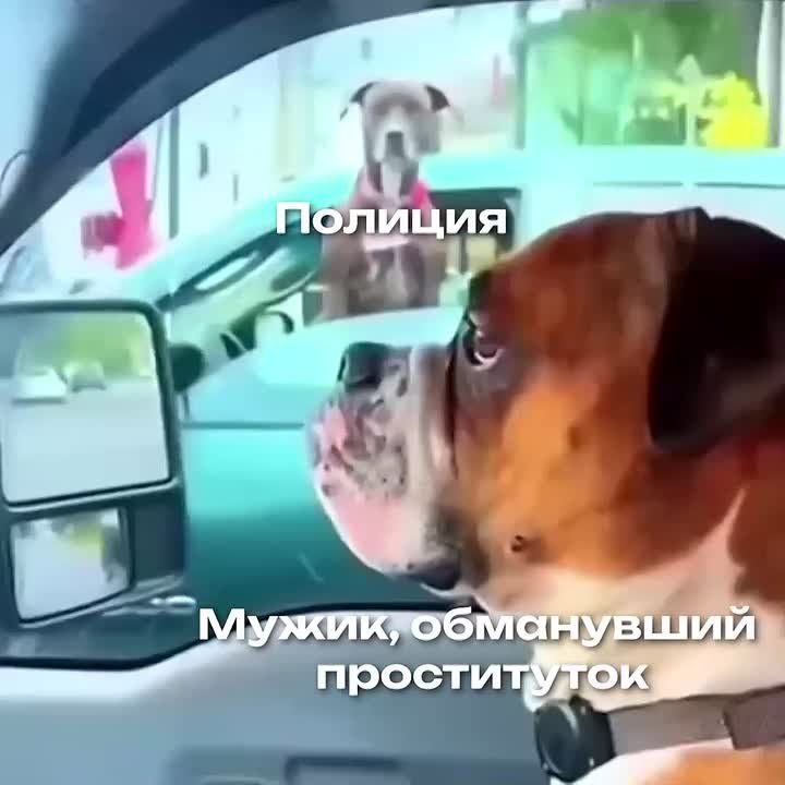 �������� ������ ����������� �� 650�, ������������� �����������