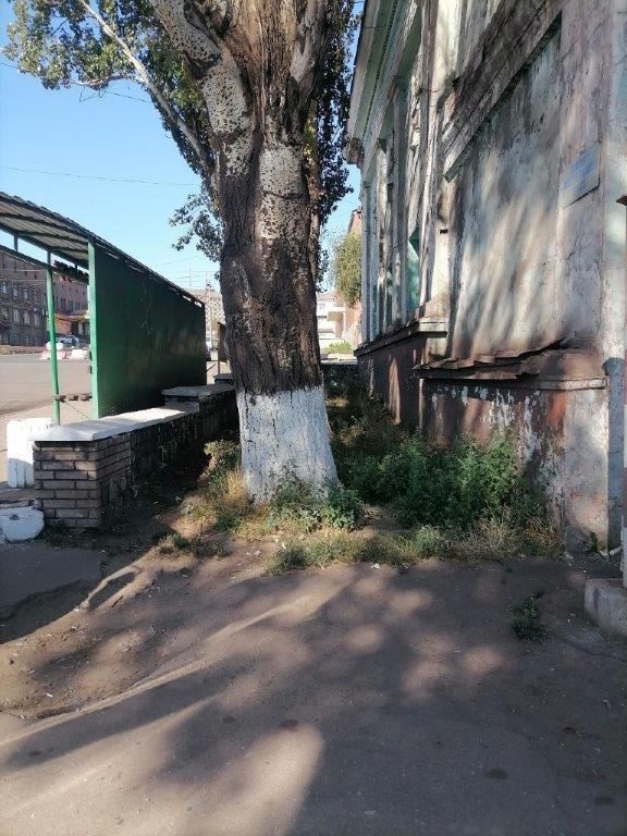 Благоустройство территории