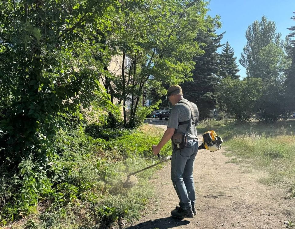 В Ждановке ведется работа по покосу карантинных трав