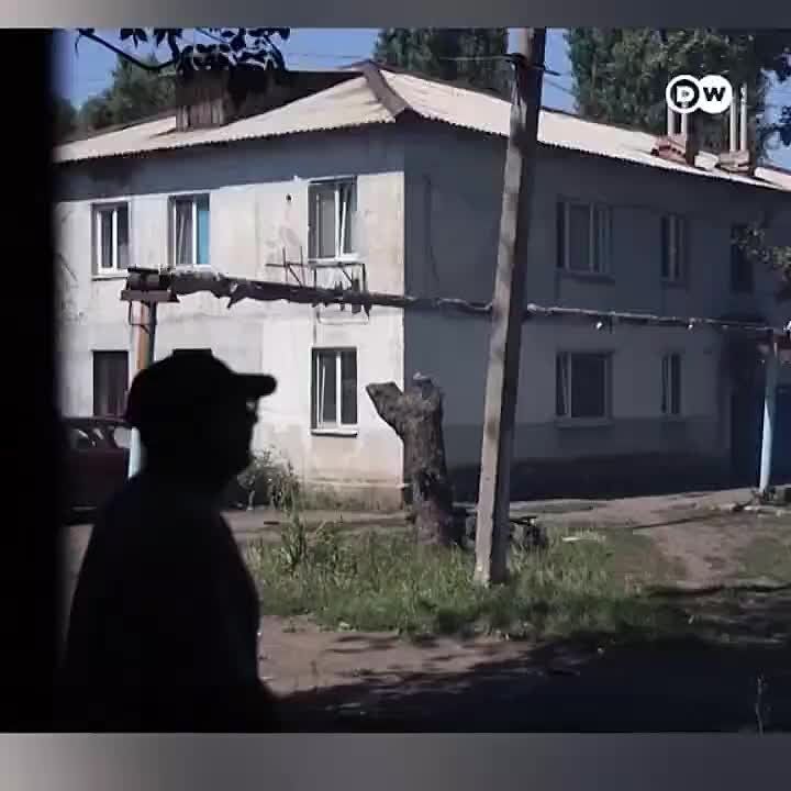 �����������. ����������