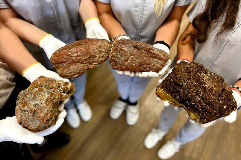 Рекордный объем добычи янтарных самородков