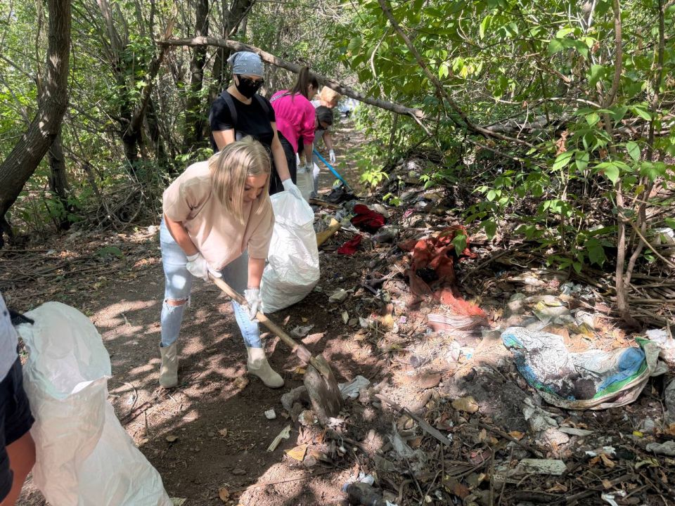 ���� ������: ������������ ����� ���������� ����������� � ���������� ����� ��� �� ��������������� ����������