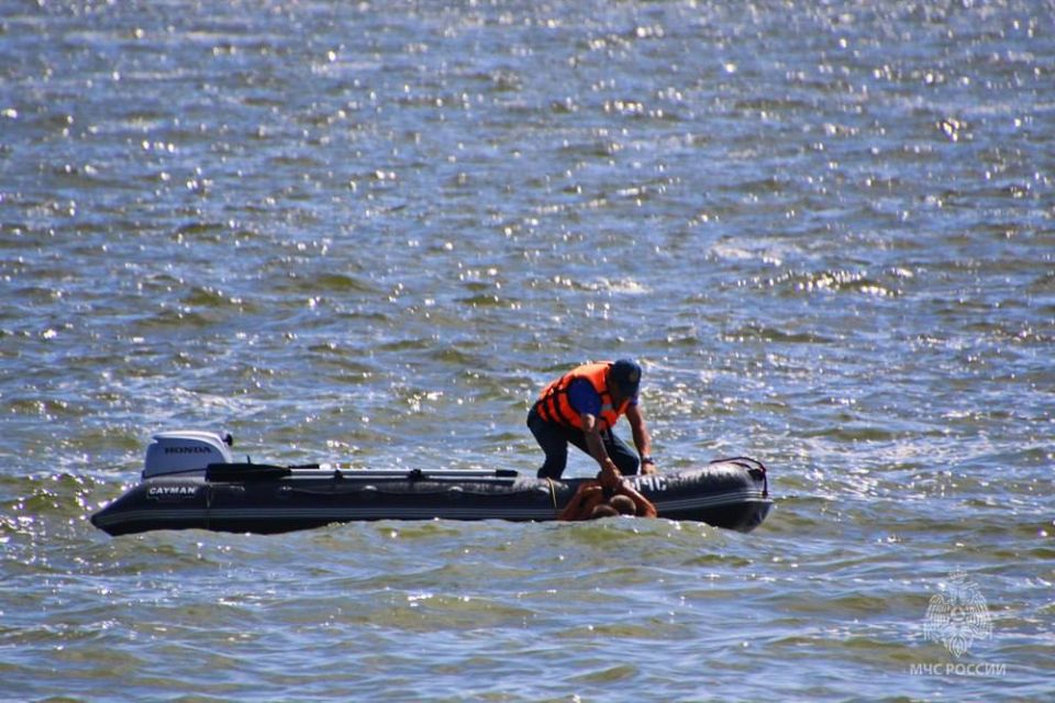 �� �������� ����� � ��� ������������� 62 ������, �� ��� 36 -����������� � �� ��� ������ �� ����������