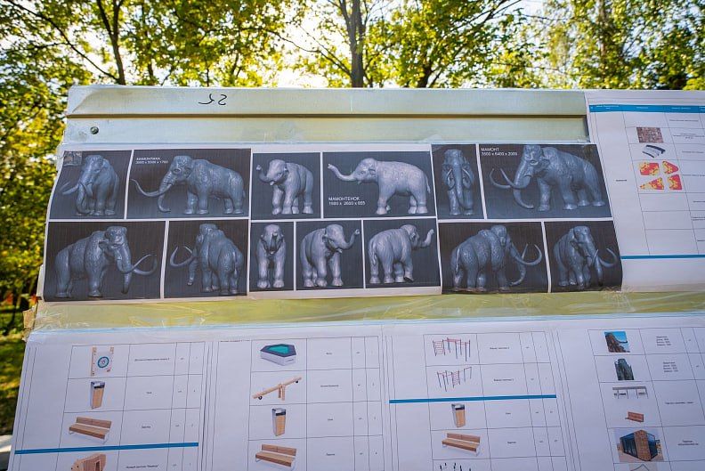 ����, ���� � ���: � ����������� ������ ������ � �������� ��������� ����� ��������