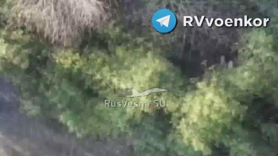 ������������ ��� � ���������: �������� ������������ ������� � ������ ���