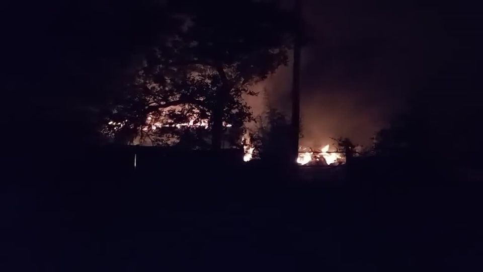 ������ �������: ��� ���� ��������� �������� ��������� ������ �� ����-�������� ����������� ����� ����� ������� "�������"