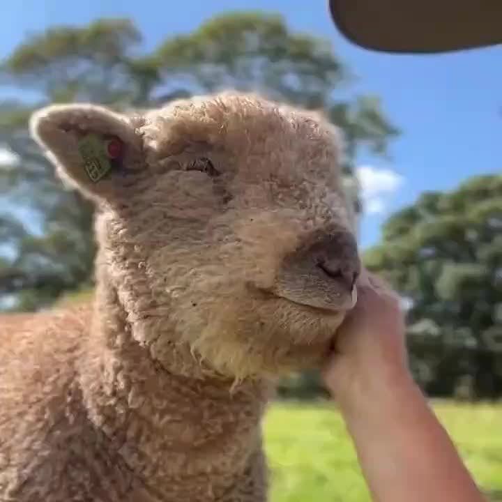 ������ ����, ���������!. ����� ���� ���� �������� � �������� ����������, ������ ������, �������� �������� � ���������� �������