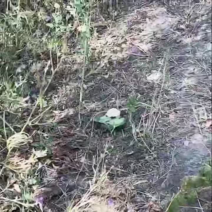 � ������������ ������� ������������ ������� � �����������, ��� ������������ ������� ��������� � ����� ���������� �� ������ �� ������