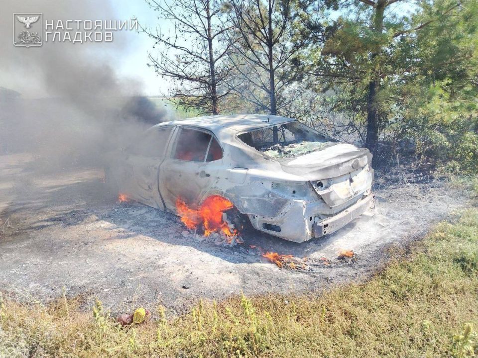 ���� ����: ���������� ��� ����� ���������� 23 ���������� ����: 8 � ��� ���������� ���, 5 � ��� �������� �����, �� 2 � ��� ������������, ���������� ��� � ׸���� �����, �� 1 � ��� �������, ����������� ���, ������������� �����...