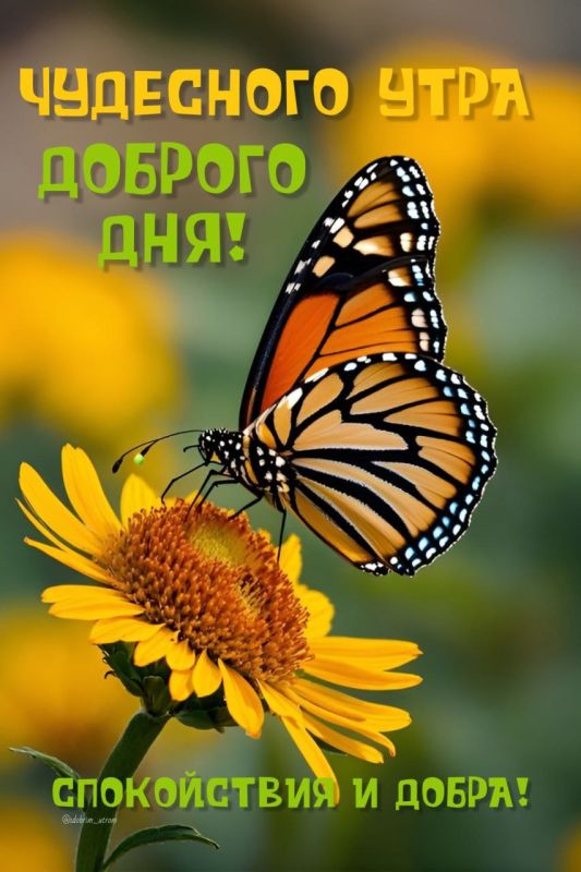 #доброе_утро